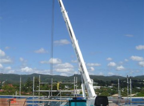 2.9 Ton TOA crawler mini crane 1