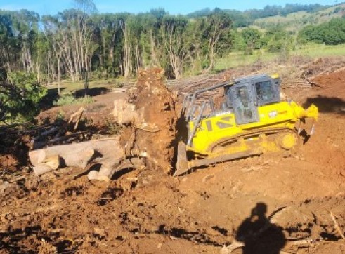20t Dozer 1