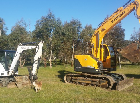 5.5 Ton Excavator Bobcat 341