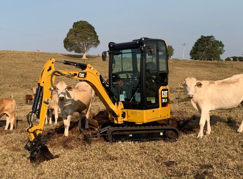 CAT 301.8D Excavator 1