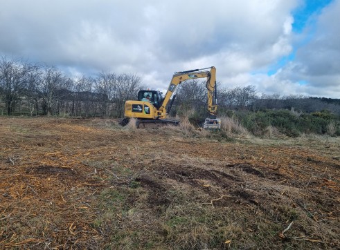 8T CAT 308E2 Excavator w/FAE Forestry Mulcher 4