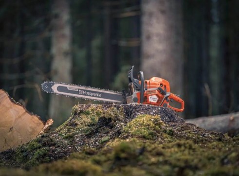 Chainsaw Wet Hire - Tree Removal & Pruning, Hedge Clipping & Stump Grinding 3