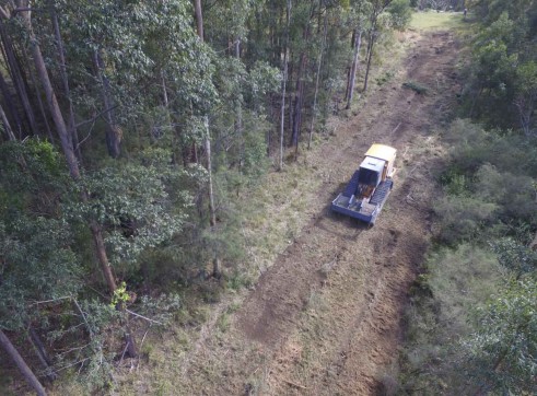 CMI 450 HP Forestry Mulcher 5