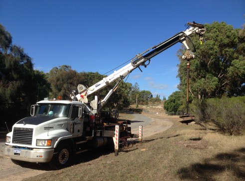 Crane Borer