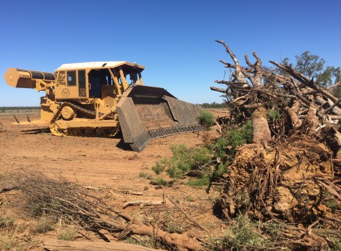 Caterpillar D9T Dozer