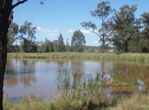 Dam Building 2
