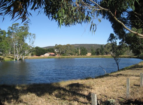 Dam Building 3