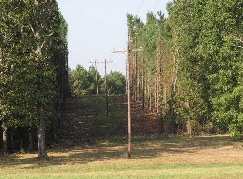 Easement Clearance