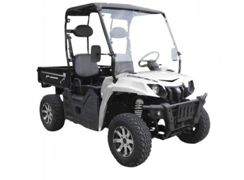 Electric UTV