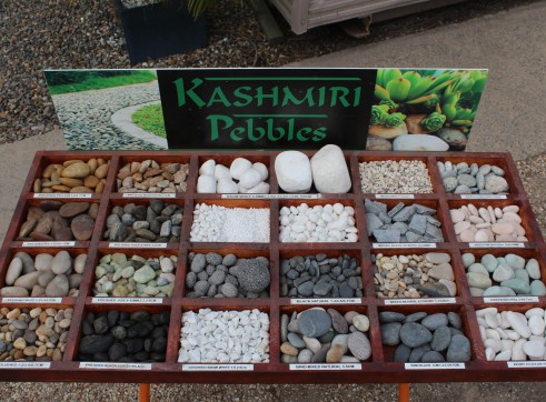 Exotic Pebbles Imported