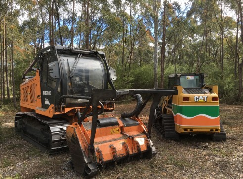 Forest Mulcher 200HP 1