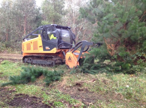 Forest Mulcher 200HP 2