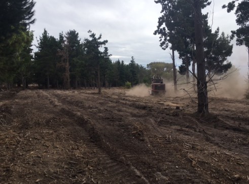 Forestry Mulcher and Grinder 4