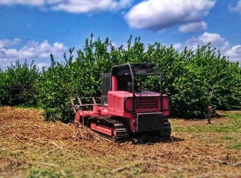 Forestry Mulcher 1