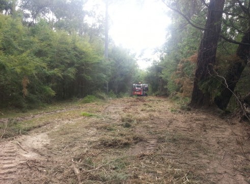 Forestry Mulching 2