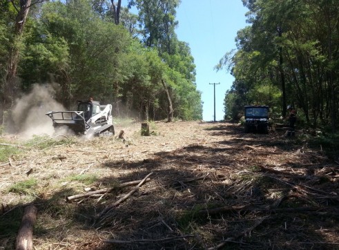 Forestry Mulching 4