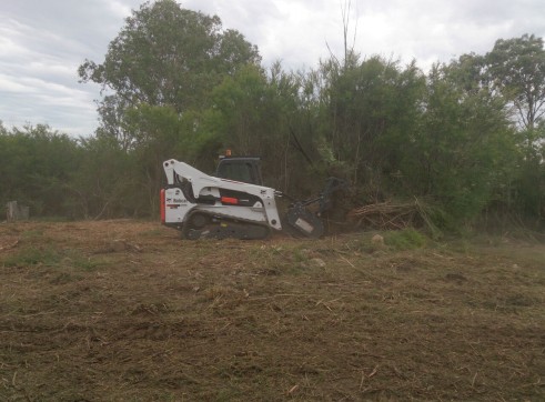 Forestry Mulching 5