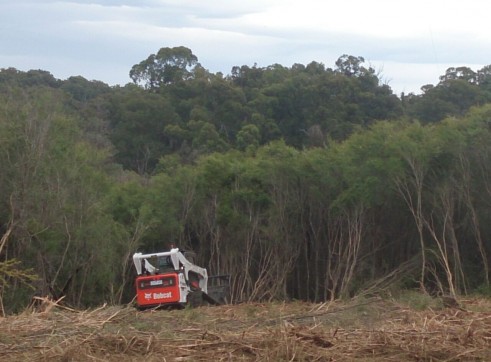 Forestry Mulching 6