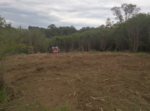 Forestry Mulching 7