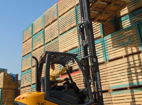 Forklift 2.5 tonne LPG