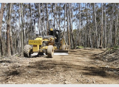 Graders - 10ft to 16ft 9