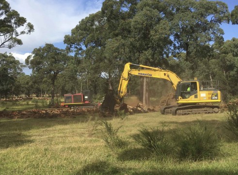 Komatsu 20T Excavator w/Tree Shears 3