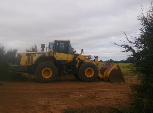 Komatsu loader Wa480-6  1