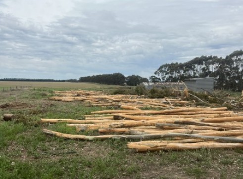 Land clearing