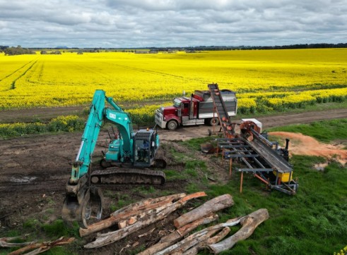 Land clearing 3