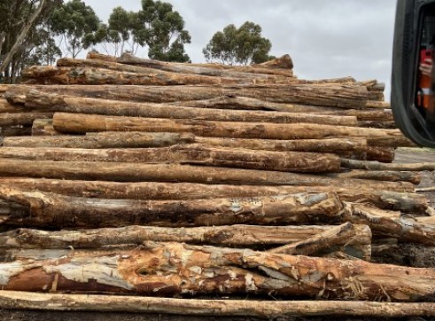 Land clearing 4