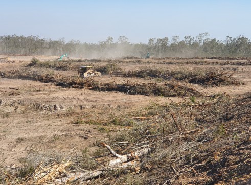 Land Clearing 2