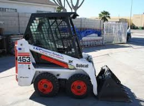 Mini Bobcat 1