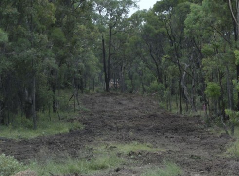 Mulching Access Tracks 5