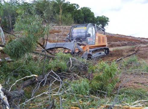 Mulching Gum Trees 3