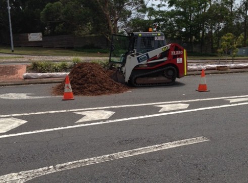 Posi track skid steer 4