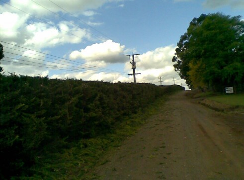 Power line clearing 12