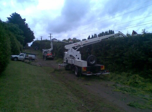 Power line clearing 7