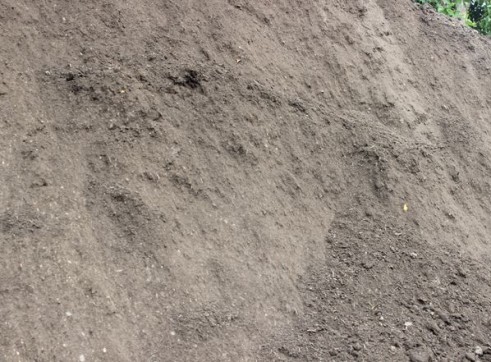 Premium Garden Soil 1