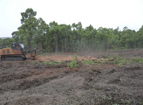 PT 400 HP Tracked Mulcher 10