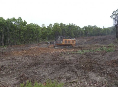 PT 400 HP Tracked Mulcher 11