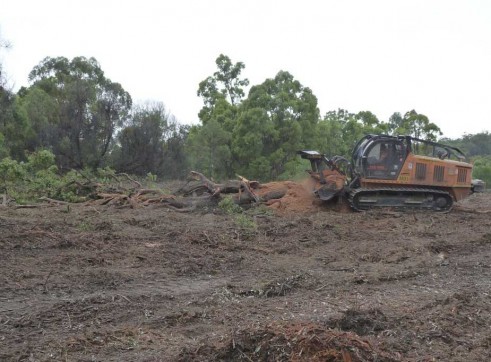 PT 400 HP Tracked Mulcher 6