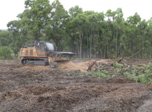 PT 400 HP Tracked Mulcher 5