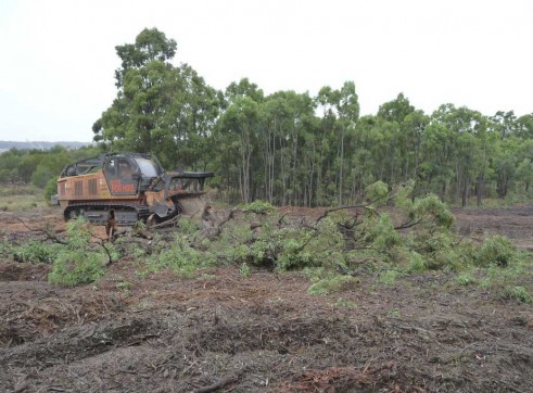 PT 400 HP Tracked Mulcher 3