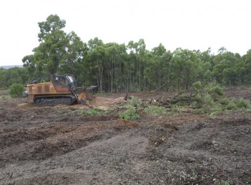 PT 400 HP Tracked Mulcher 4