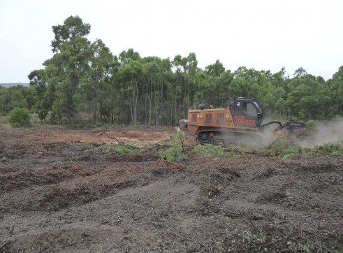 PT 400 HP Tracked Mulcher 9