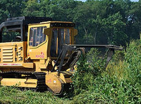 Rayco C260 Forestry Mulcher 1