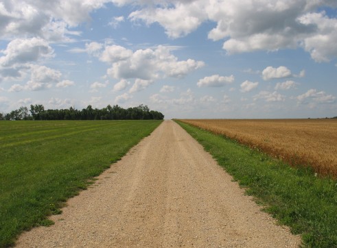 Road Building 2