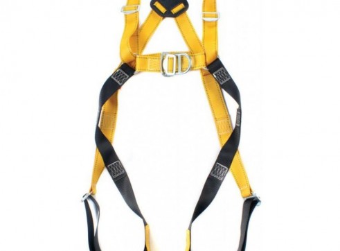 Safety Harness With Lanyard