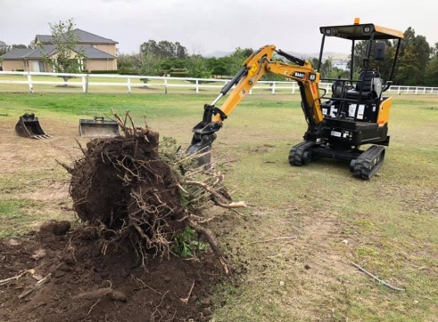 SANY 1.6T Mini Excavator 2