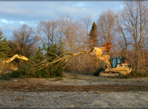 Site Clearing 2
